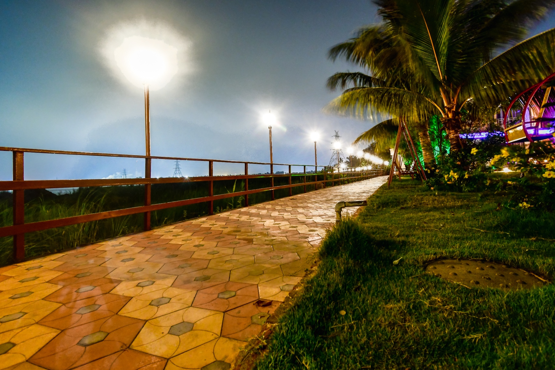 Riverside walkway lined with palm trees and lamp posts